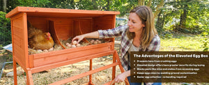 3-in-1 Nesting Boxes for Chickens with Perch and Swing
