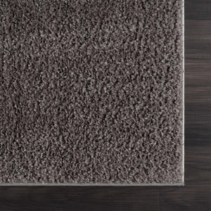 Judy Solid Dark Gray Washable Shag Rug - Promo