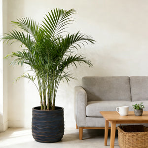 Large Round Planters Set of 2