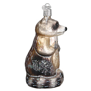 Raccoon Ornament