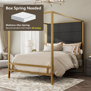 Modern Gold Metal Canopy Bed
