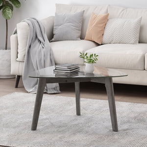 Modern Coffee Table With Wood Construction And Compact Design