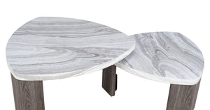Contemporary Style Nesting Cocktail Table with Marble Pattern