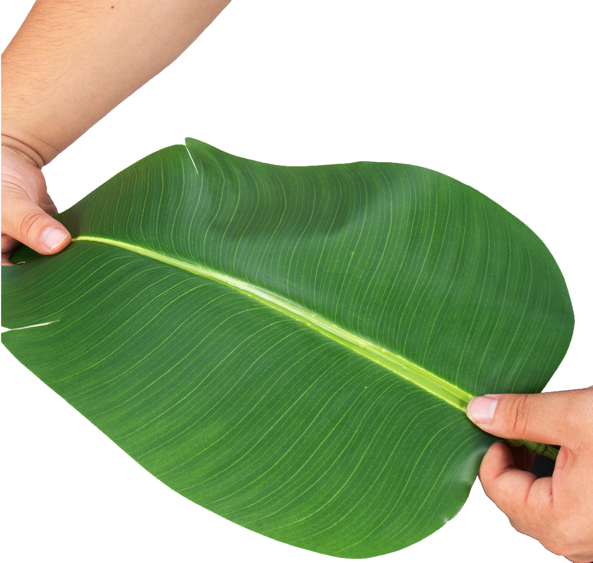 Bird of Paradise Artificial Plant 6 ft Tall Faux Banana Leaf Tree