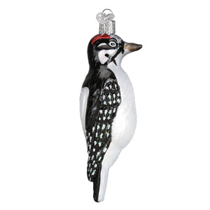 Hanging Hairy Woodpecker