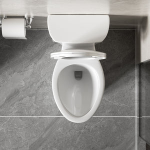 Gloss 2 Piece Toilet With 1.28 Gpf Tornado Flush, Rimless Bowl, Soft Closing Seat - Gloss White