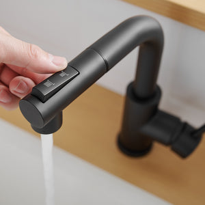 Black Kitchen Sink Faucet with Pull Down Sprayer