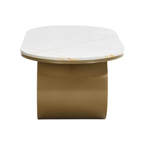 Luxury Modern Oval Coffee Table
