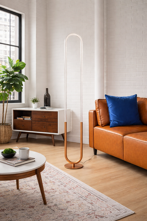 Contemporary LED Standing Floor Lamp