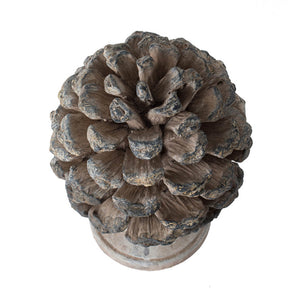 D7x10.5" Table Decor, Pinecone