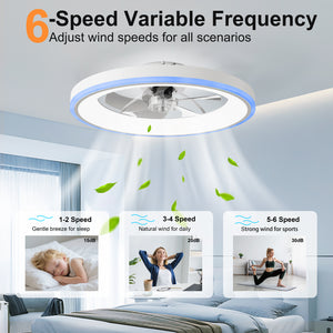 23.6" Modern RGB Ceiling Fan with Lights