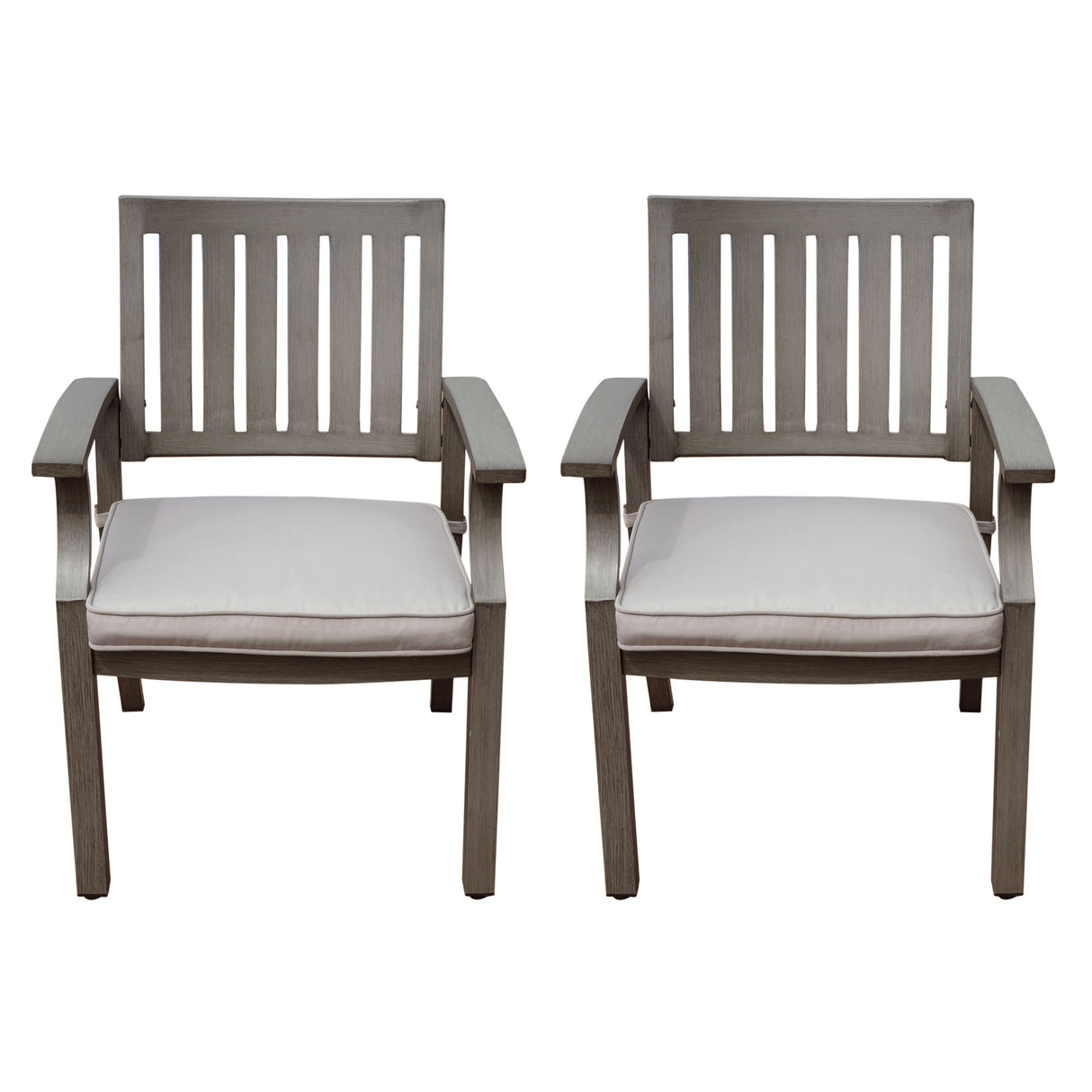 Outdoor Modern Aluminum Dining Chair with Cushion (Set of 2)