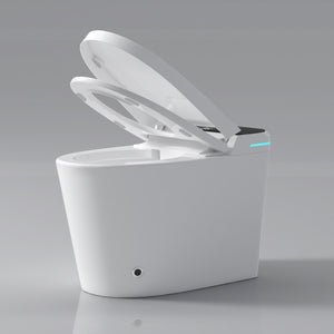 Modern Smart Toilet with Bidet Seat Built-In