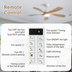 Ceiling Fan & DC Motor And Integrated Light