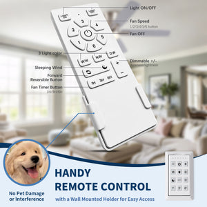 Mordern Flush Mount Ceiling Fan With Light And Remote Control