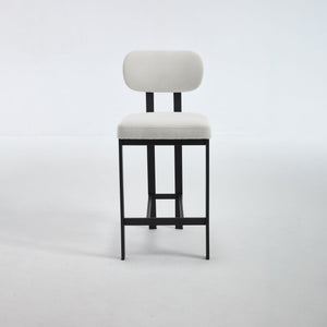 Modern Counter Height Stools (Set of 2)