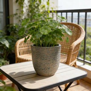 Large Outdoor Indoor Planter Set of 3