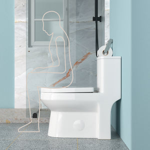 Ceramic One Piece Toilet for Bathroom, 12-inch Rough-In, Dual Flush