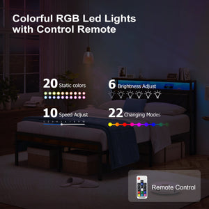 22389243
