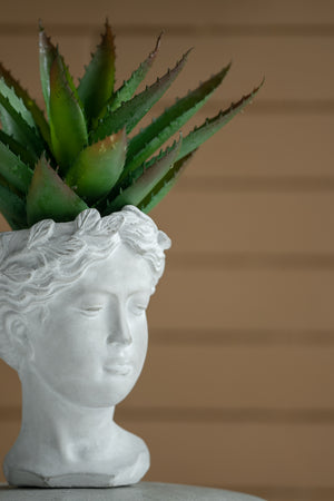 Greek Style Cement Head Planter with Classic Design - Cement