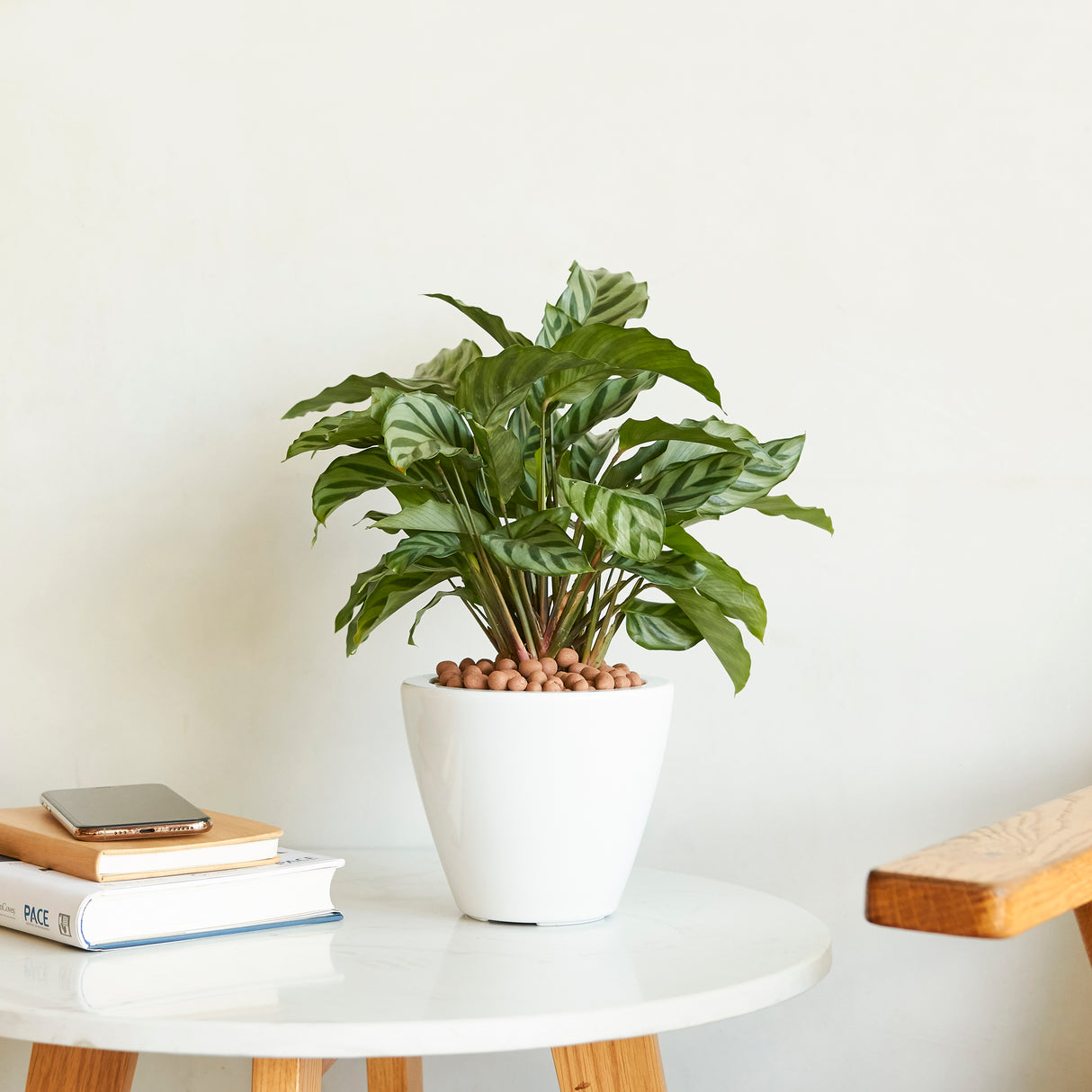 2-Pack Smart Self-Watering Planter Pot