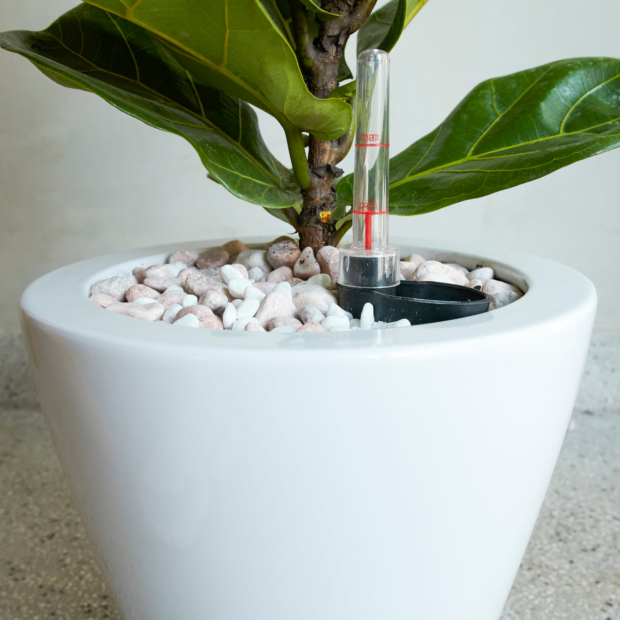 2-Pack Smart Self-Watering Planter Pot