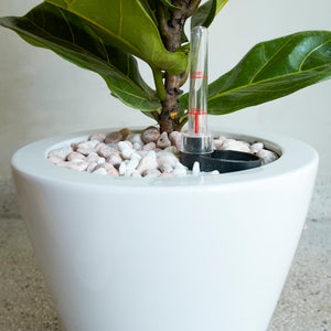 2-Pack Smart Self-Watering Planter Pot