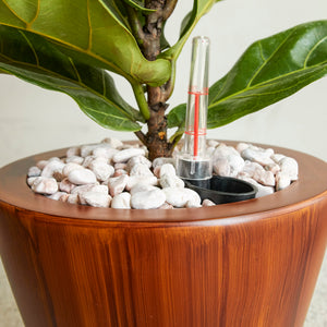 2-Pack 10 in. Dark Wood Plastic Self-Watering Planter Pot