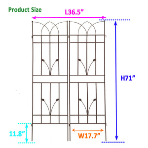 2 Pack Metal Garden Trellis