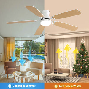 Indoor Modern 52 Inch Ceiling Fan with 6-Speed Remote and LED Light