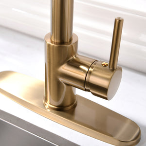 Commercial Brushed Nickel Kitchen Faucet with Pull Down Sprayer