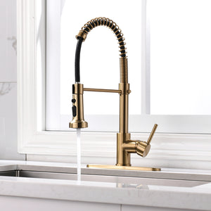 Commercial Brushed Nickel Kitchen Faucet with Pull Down Sprayer