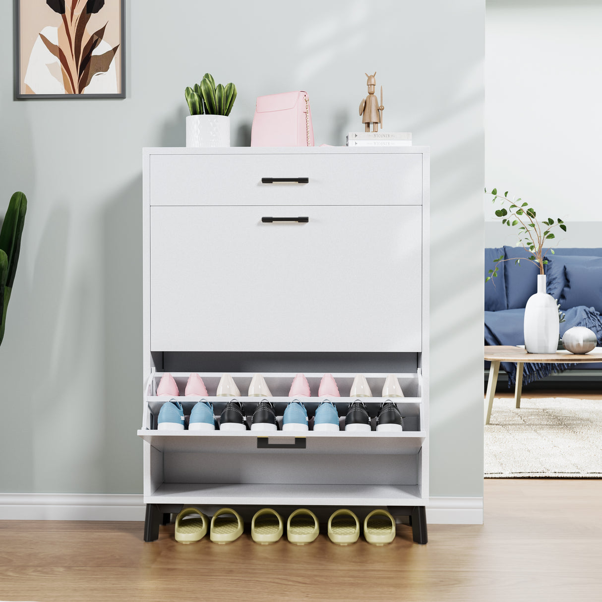 Shoe Storage Cabinet for Entryway