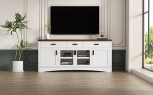 Modern TV Stand