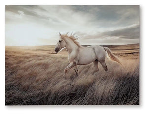Errolville - Wall Art - Multi - Best Buy Furniture