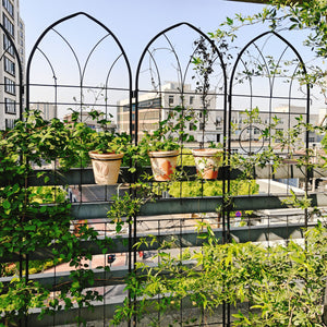 4 Pack Metal Garden Trellis