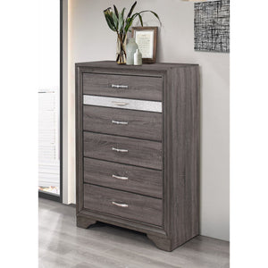 Ryder - Sparkle Chest - Gray