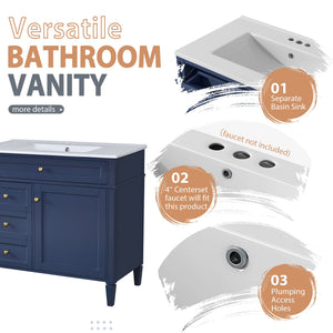 Bathroom Vanity With Mirror Cabinet, Single Sink With 2 Soft Closing Doors And 4 Drawers