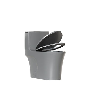 1 Piece Toilet With Dual Flush And Soft Closing Seat