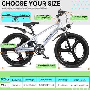20 Inch Kids Mountain Bike
