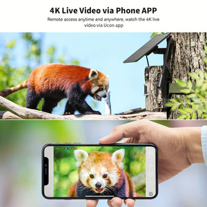4K Hunting Trail Camera with 4G Live View - Solar Powered, 0.2s Trigger & Auto Night Vision