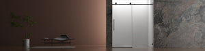 5476 Tempered Glass Shower Door