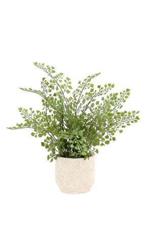 16" Faux Snake Plant & Fern Set