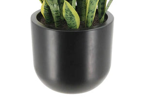 30" Artificial Snake Plants in Black Pots