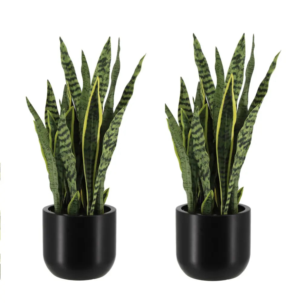 30" Artificial Snake Plants in Black Pots