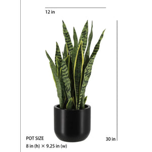 30" Artificial Snake Plants in Black Pots