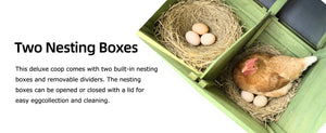 70" Automatic Chicken Coop with Solar-Powered Door