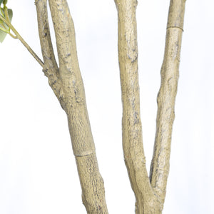 6' Artificial Olive Tree in Plastic
