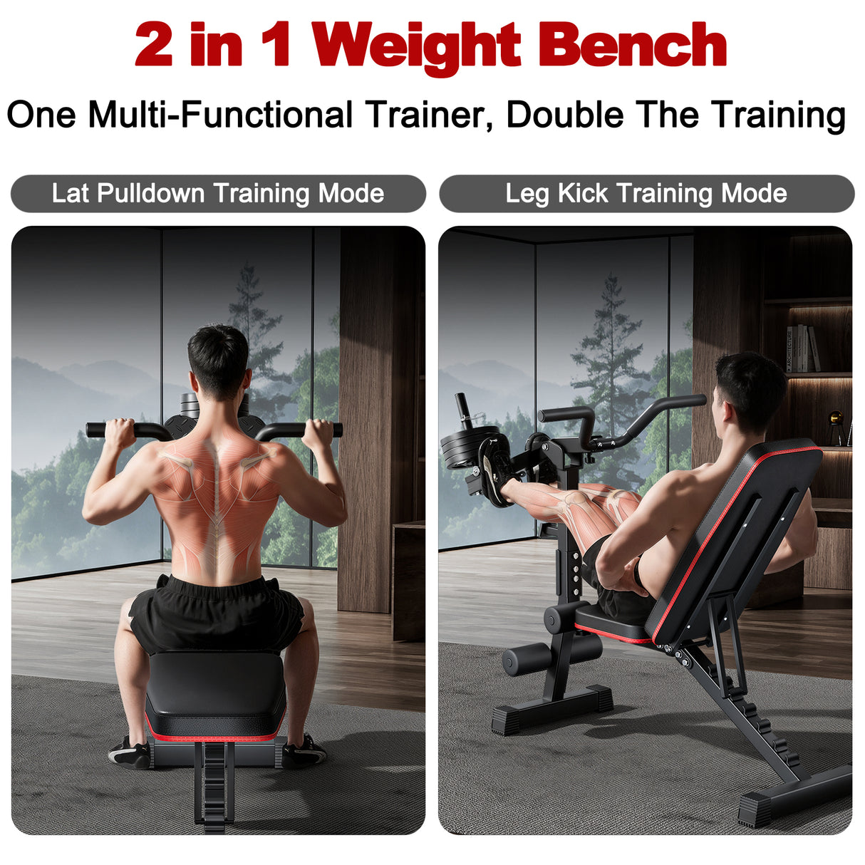 Multi-Functional Adjustable Weight Bench