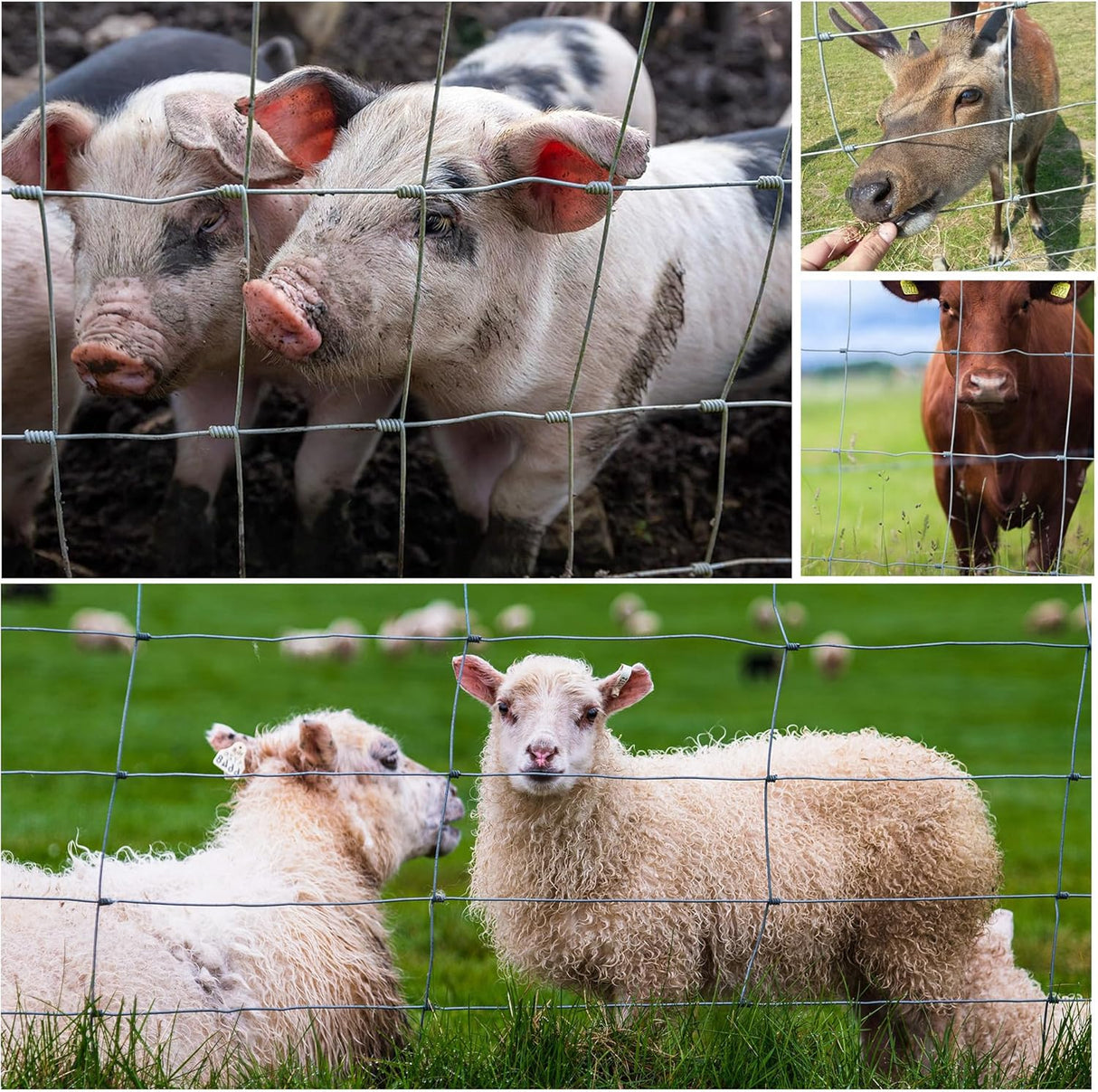 Farm Fence - 3ft x 164ft Heavy Zinc Coated Cattle Fence